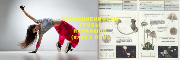 прущие крисы Алексин
