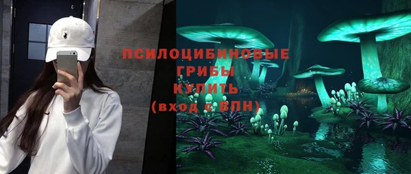 спайс Алзамай