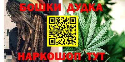 МДПВ Сланцы