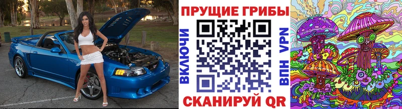 Псилоцибиновые грибы MAGIC MUSHROOMS  Кореновск 